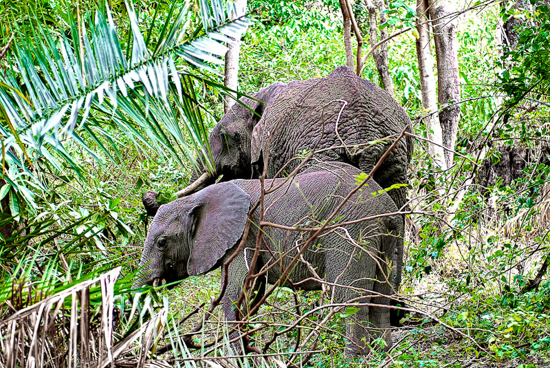 Tanzania